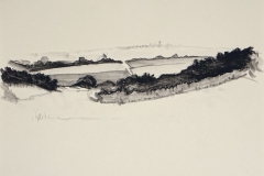 Pfälzer-Landschaft 1