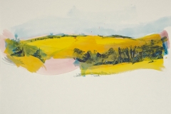 Pfälzer-Landschaft 2